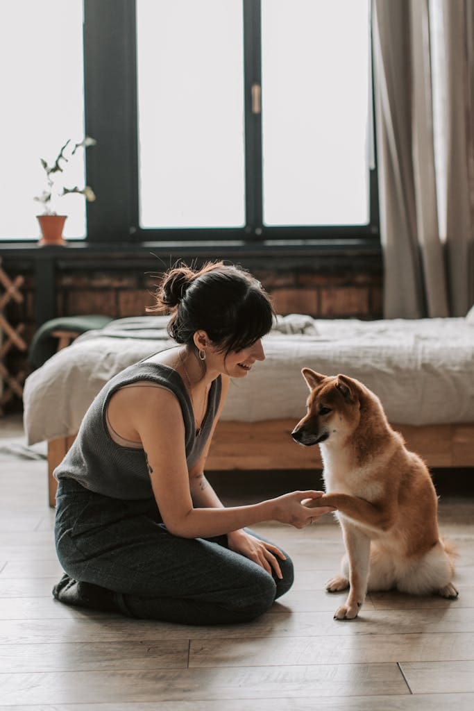 Woman in Gray Tank Top Sitting on the Floor Training Her Dog